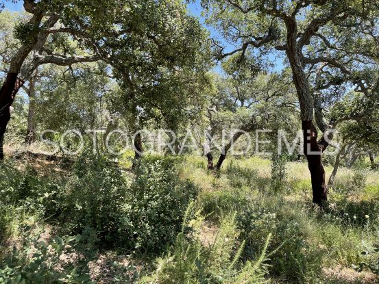 Sotogrande Alto, parcela a la venta | Coast Estates Sotogrande