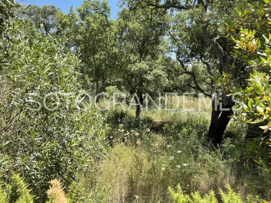 Sotogrande Alto, parcela a la venta | Coast Estates Sotogrande