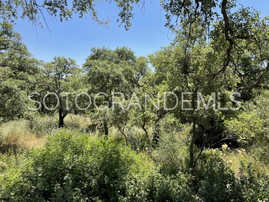 Sotogrande Alto, parcela a la venta | Coast Estates Sotogrande