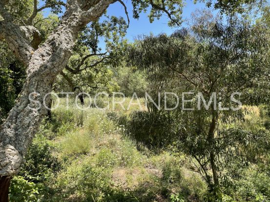 Sotogrande Alto, parcela a la venta | Coast Estates Sotogrande