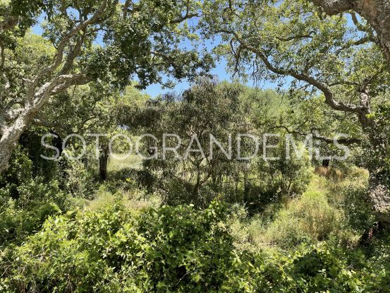 Sotogrande Alto, parcela a la venta | Coast Estates Sotogrande