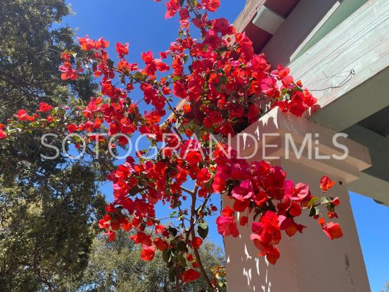 Buy villa in Zona C, Sotogrande Alto | Open Frontiers