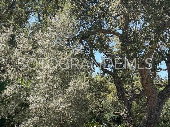 Buy villa in Zona C, Sotogrande Alto | Open Frontiers