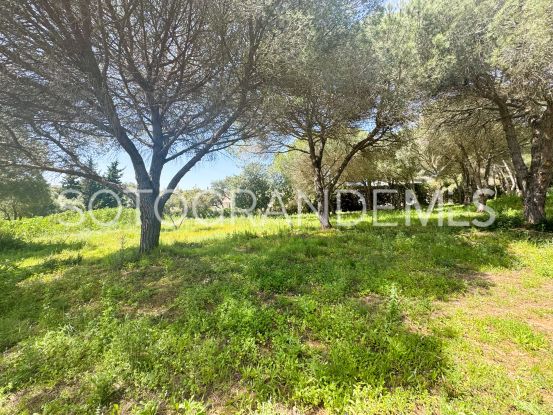 For sale plot in Los Altos de Valderrama, Sotogrande Alto | Open Frontiers