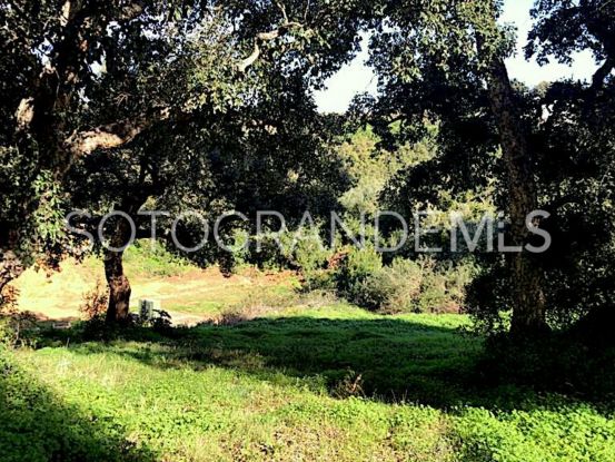 Zona G, Sotogrande Alto, parcela a la venta | Open Frontiers