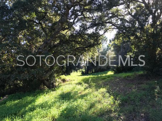 Zona G, Sotogrande Alto, parcela a la venta | Open Frontiers