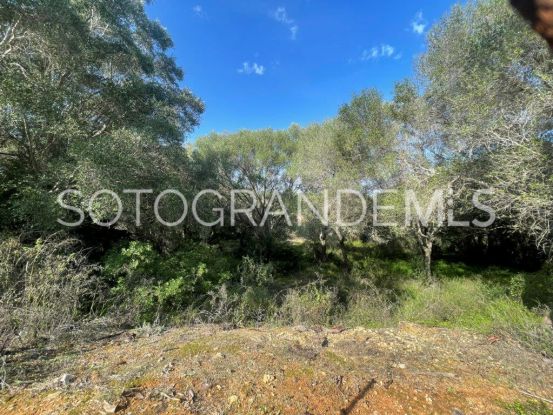 Zona B, Sotogrande Costa, parcela a la venta | MarSotogrande