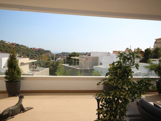 3 bedrooms Botanic ground floor apartment | MPDunne - Hamptons International