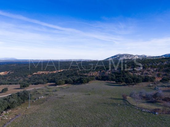 Parcela a la venta en Ronda | Villas & Fincas