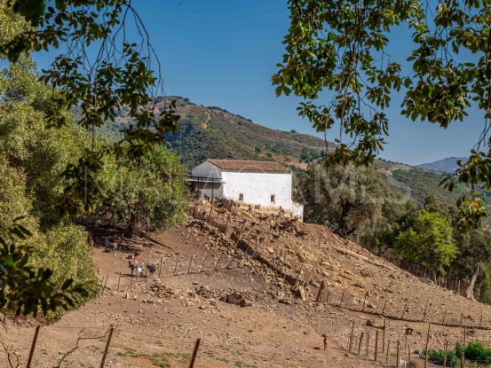 Se vende finca en Gaucin | Villas & Fincas