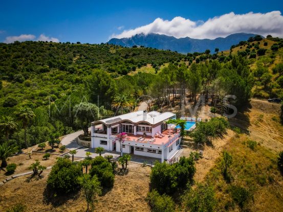 For sale estate in Casares | Villas & Fincas
