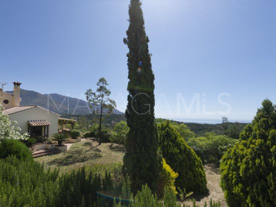 4 bedrooms country house in Casares Montaña | Inmo Andalucía