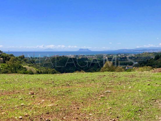 Selwo plot for sale | DM Properties
