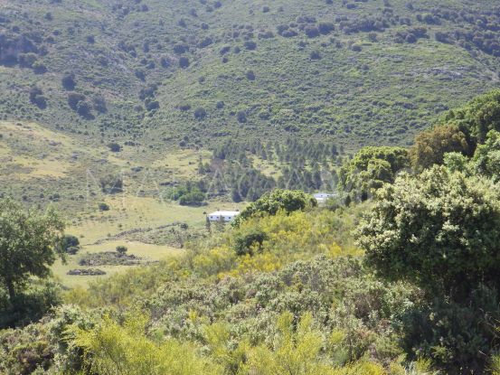 Ronda, parcela a la venta | Serneholt Estate
