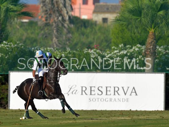 Buy The Seven plot with 8 bedrooms | Noll Sotogrande
