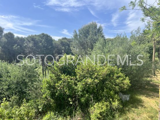 For sale plot in Zona M | Noll Sotogrande