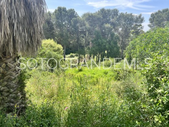 For sale plot in Zona M | Noll Sotogrande