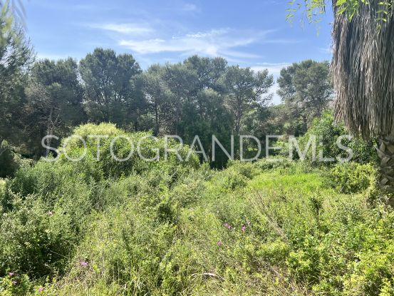 For sale plot in Zona M | Noll Sotogrande