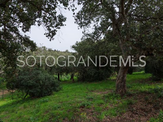 Zona G, Sotogrande Alto, parcela a la venta | Noll Sotogrande