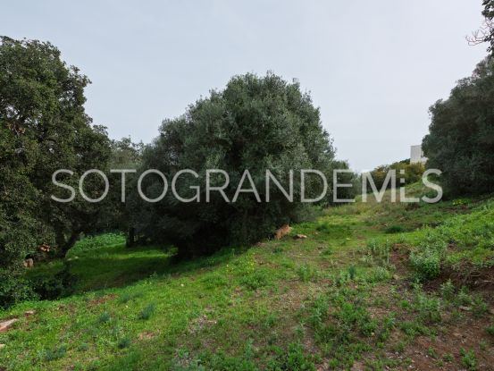 Zona G, Sotogrande Alto, parcela a la venta | Noll Sotogrande