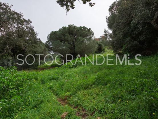 Zona G, Sotogrande Alto, parcela a la venta | Noll Sotogrande