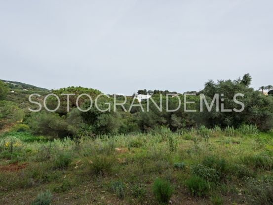Zona G, Sotogrande Alto, parcela a la venta | Noll Sotogrande