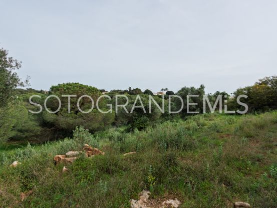 Zona G, Sotogrande Alto, parcela a la venta | Noll Sotogrande