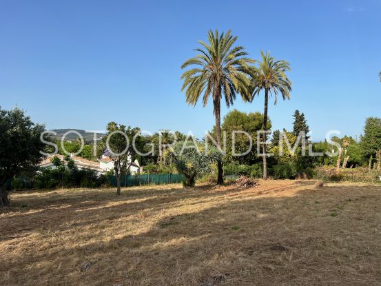 For sale plot in Kings & Queens, Sotogrande Costa | Noll Sotogrande