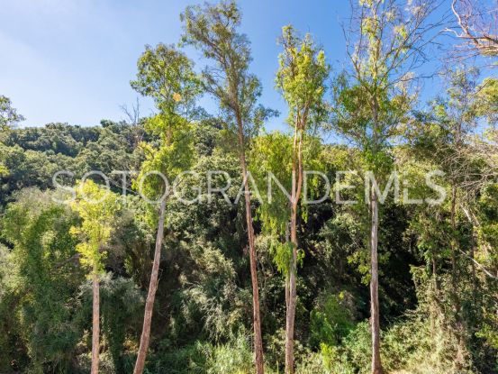 Zona F 5 bedrooms villa for sale | Noll Sotogrande