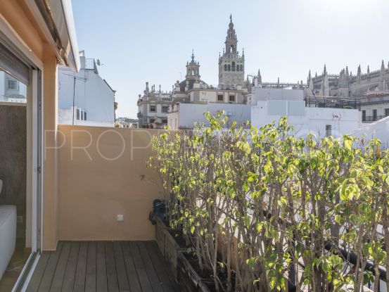 Penthouse in Garcia de Vinuesa with singular views of the cathedral