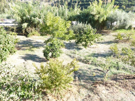 Buy finca in Coin | Loraine de Zara