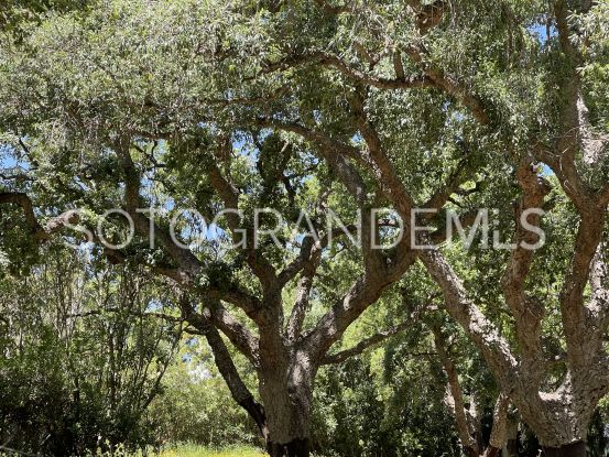 Sotogrande Alto, parcela a la venta | Sotogrande Home