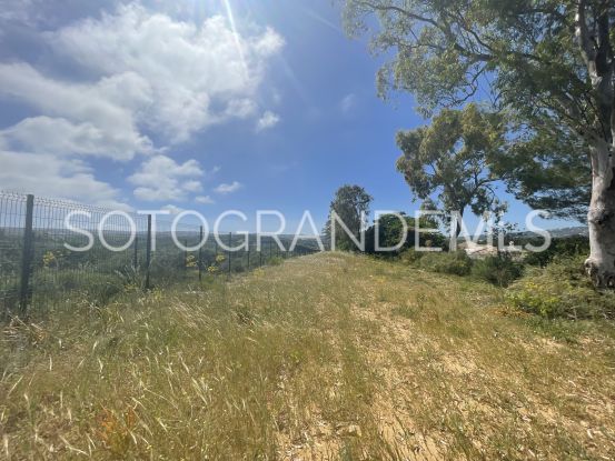 Plot for sale in Sotogrande Alto | Sotogrande Home