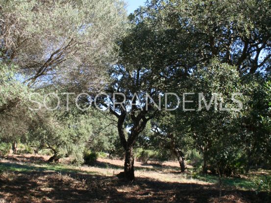 For sale plot in Los Altos de Valderrama, Sotogrande Alto | Teseo Estate