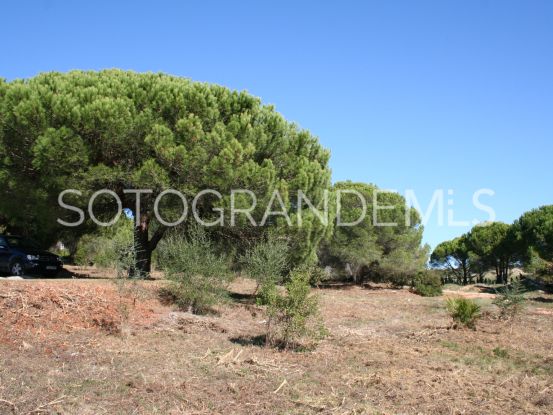 For sale plot in Los Altos de Valderrama, Sotogrande Alto | Teseo Estate