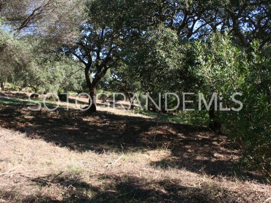 For sale plot in Los Altos de Valderrama, Sotogrande Alto | Teseo Estate