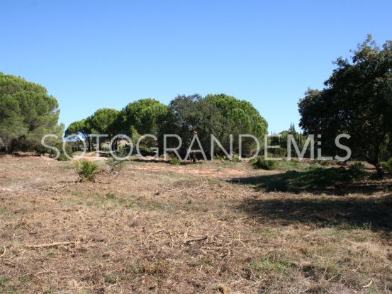 For sale plot in Los Altos de Valderrama, Sotogrande Alto | Teseo Estate