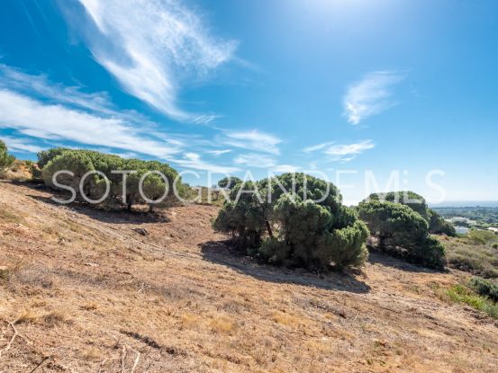 Parcela a la venta en Zona M | Teseo Estate