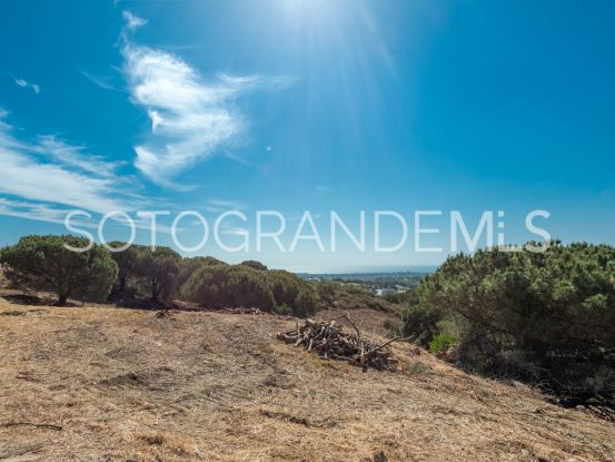 Parcela a la venta en Zona M | Teseo Estate