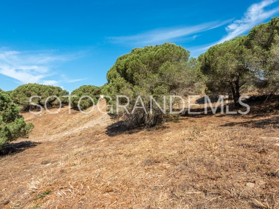 Parcela a la venta en Zona M | Teseo Estate