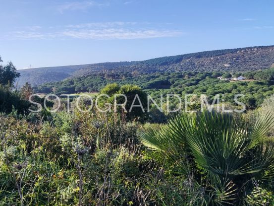 For sale Zona G plot | Teseo Estate