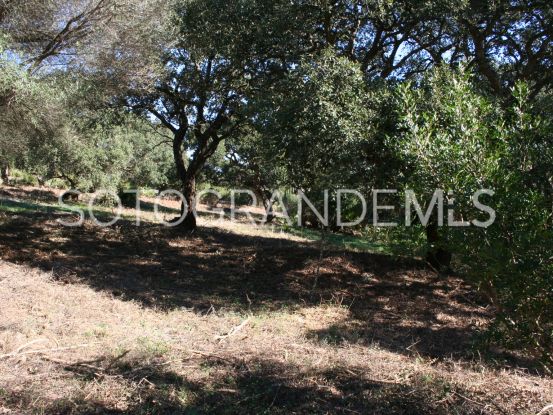 Los Altos de Valderrama plot for sale | Teseo Estate