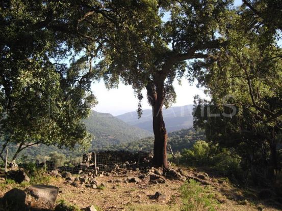 Parcela a la venta en Estacion de Gaucin, Cortes de la Frontera | Bromley Estates