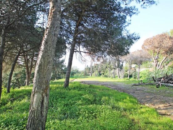 Hacienda las Chapas plot for sale | Bromley Estates
