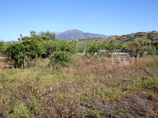 For sale plot in Coin | Bromley Estates