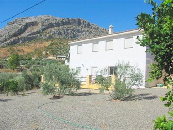 Dos casas en una parcela en venta en el corazón de la campiña andaluza