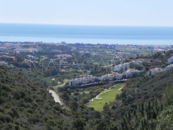 El Madroñal plot for sale | House & Country Real Estate