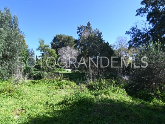 For sale Sotogrande Alto plot | BM Property Consultants