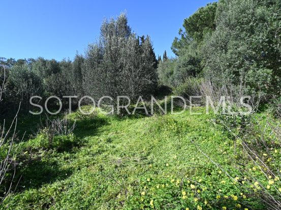 For sale Sotogrande Alto plot | BM Property Consultants