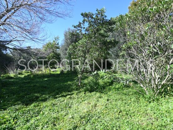 For sale Sotogrande Alto plot | BM Property Consultants